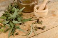 Eucalyptus Globulus (Eucalyptus globulus)