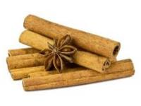 Cinnamon Bark (Cinnamomum verum)