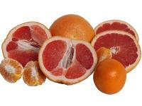 Grapefruit (Citrus paradise)
