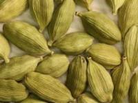 Cardamom (Elettaria cardamomum)