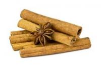 Cinnamon Bark (Cinnamomum verum)