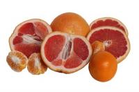 Grapefruit (Citrus paradise)