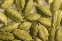 Cardamom (Elettaria cardamomum)